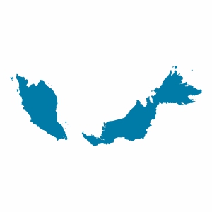 Malezya Vizesi